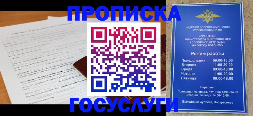 прописка штамп в Сольцах
